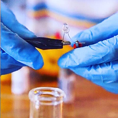 ZRiNG 4mil thickness - No Biggie Kid sized Disposable Nitrile Gloves. Latex Free, Powder Free & Food Grade.