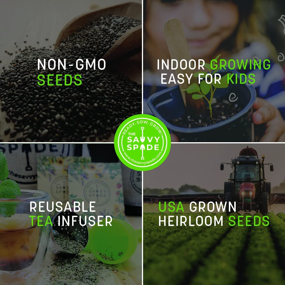 Indoor Herb Garden Starter Kit - Non GMO, Heirloom Herb Seeds - Cilantro, Oregano, Parsley and Basil Seeds for Planting - Gardening Gifts - Made in USA (Herb Garden Starter Kit)