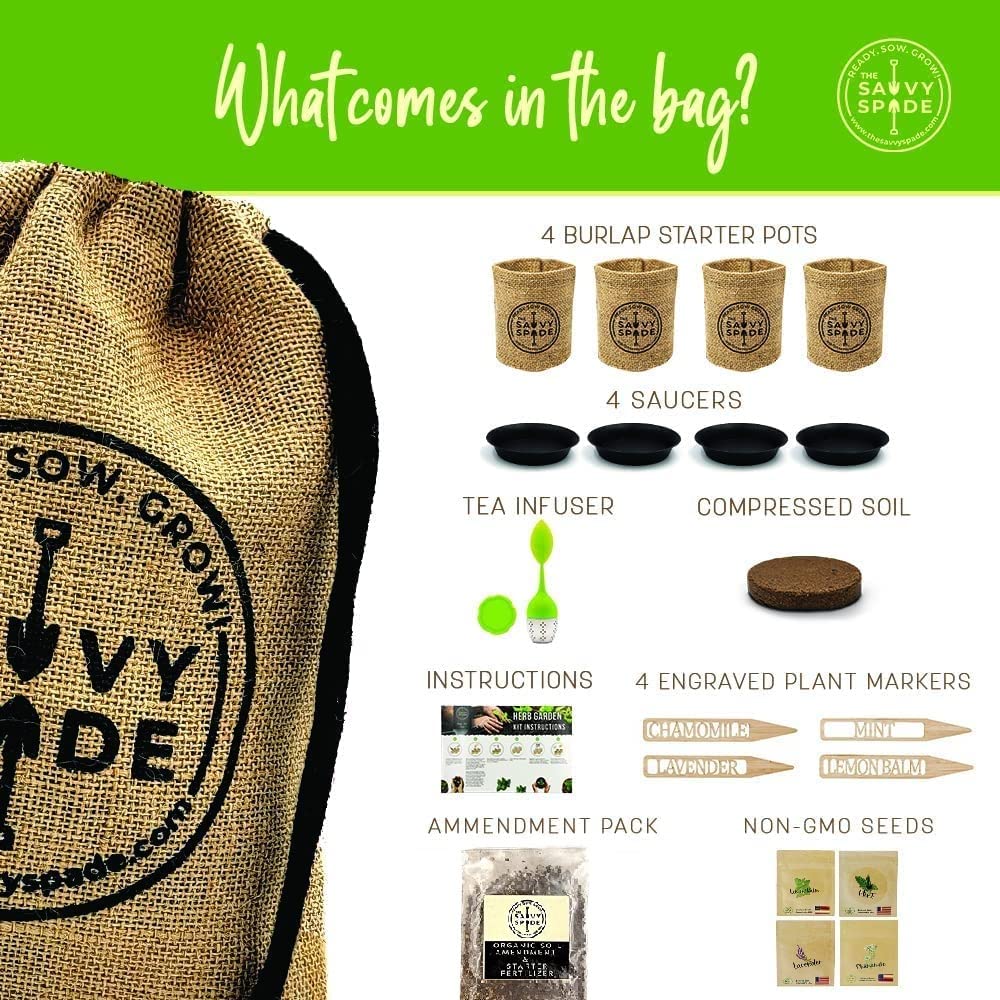 Indoor Herb Garden Starter Kit | Non-GMO Heirloom Seeds for Basil, Cilantro, Oregano & Parsley