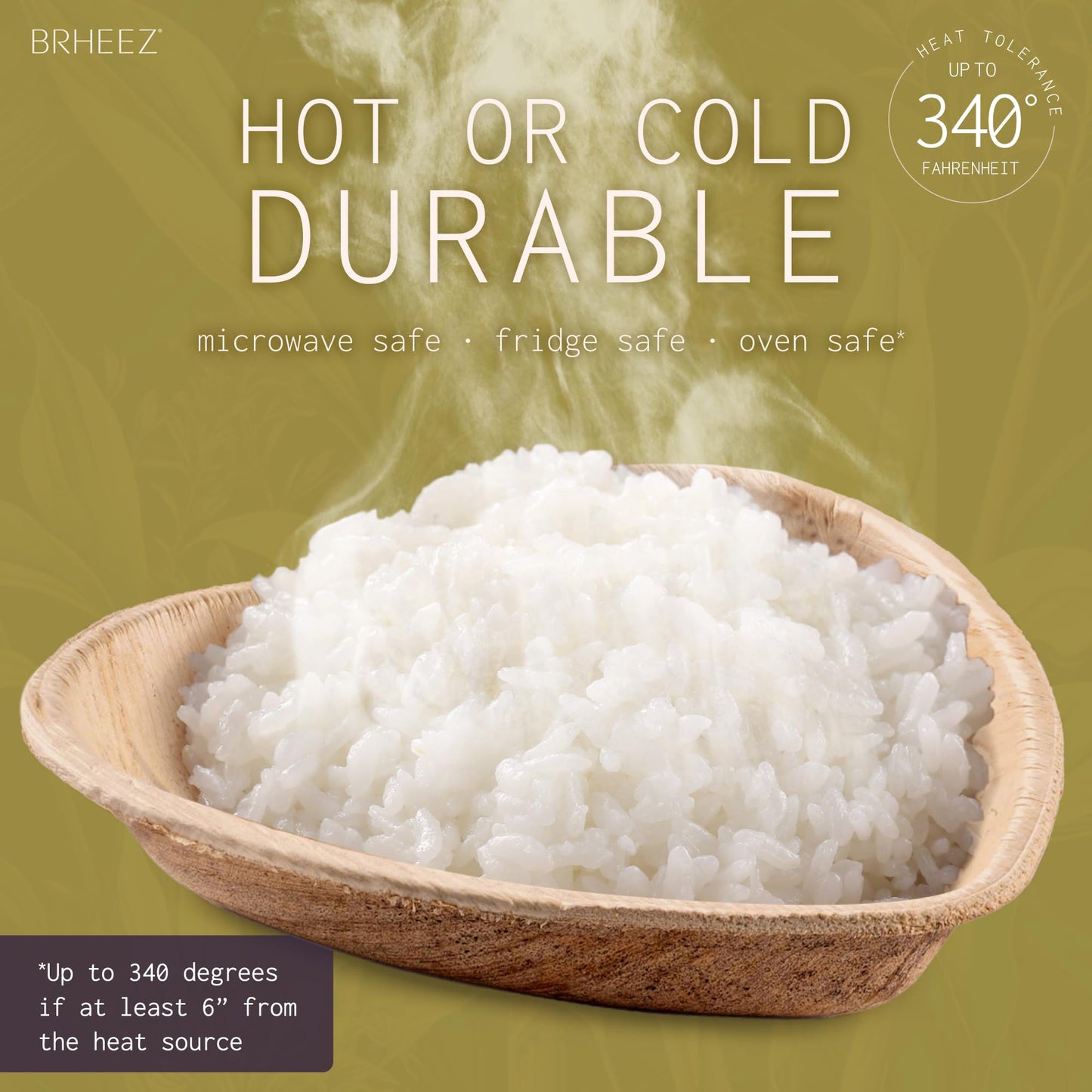 Brheez Bamboo-Style Palm Leaf Plates | Biodegradable Pack of 25