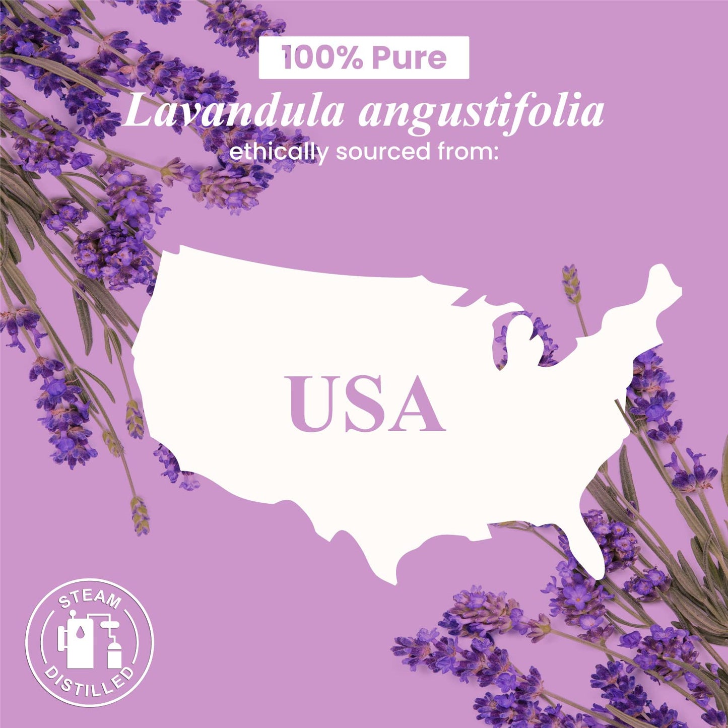 Peppermint Essential Oil - Huge 4 Fl Oz - 100% Pure and Natural - Premium Grade Essential Oil for Diffuser and Aromatherapy