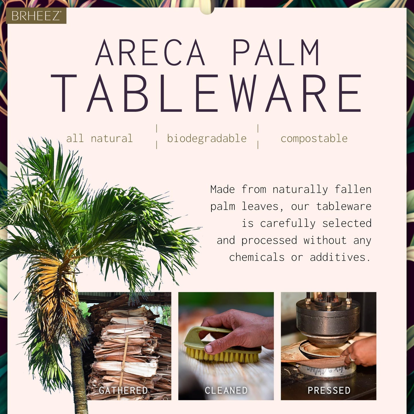 Brheez Bamboo-Style Palm Leaf Plates | Biodegradable Pack of 25