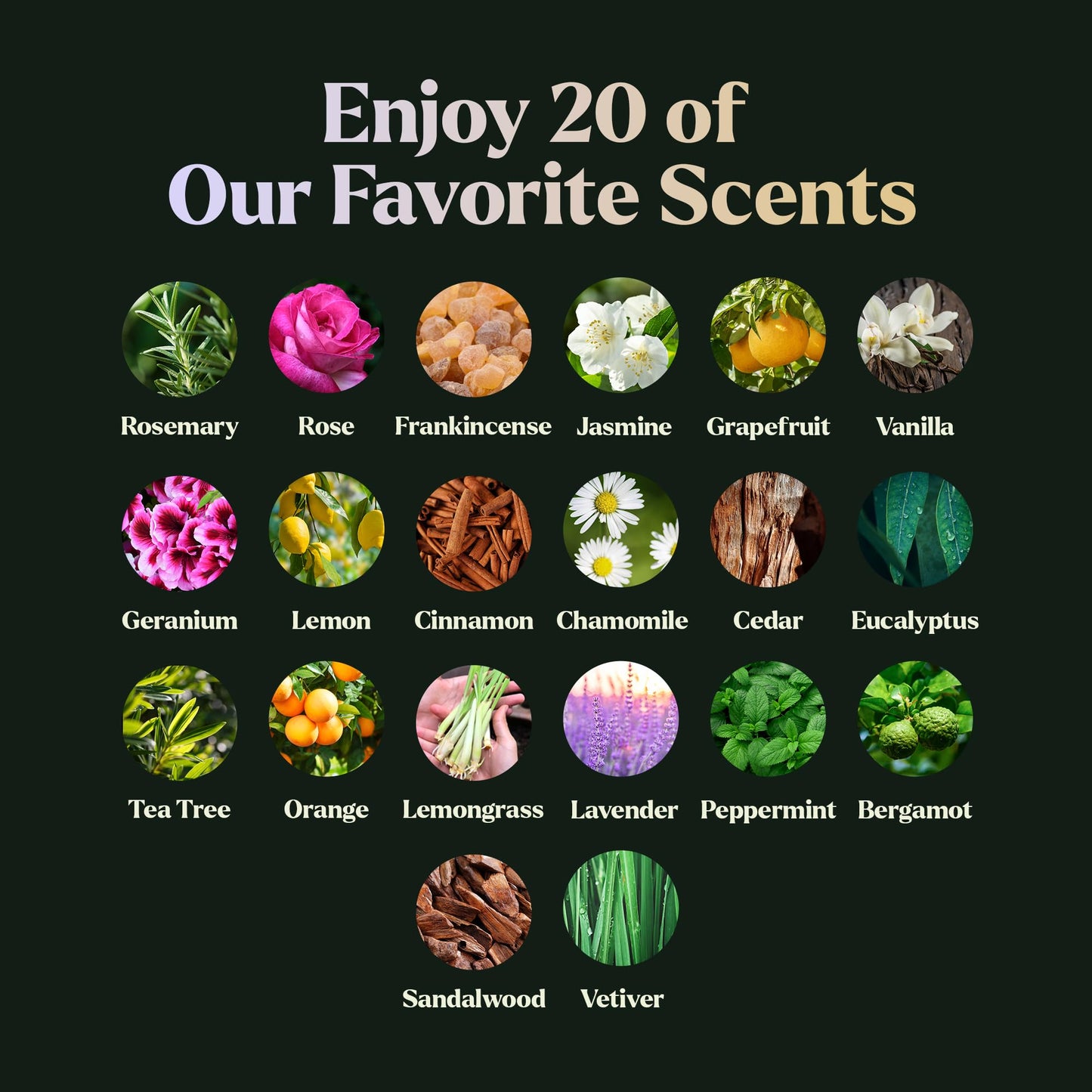 Essential Oils Set - Top 6 Blends for Diffusers, Home Care, Candle Making Scents, Fragrance, Aromatherapy, Humidifiers, Gifts - Peppermint, Tea Tree, Lavender, Eucalyptus, Lemongrass, Orange (10mL)