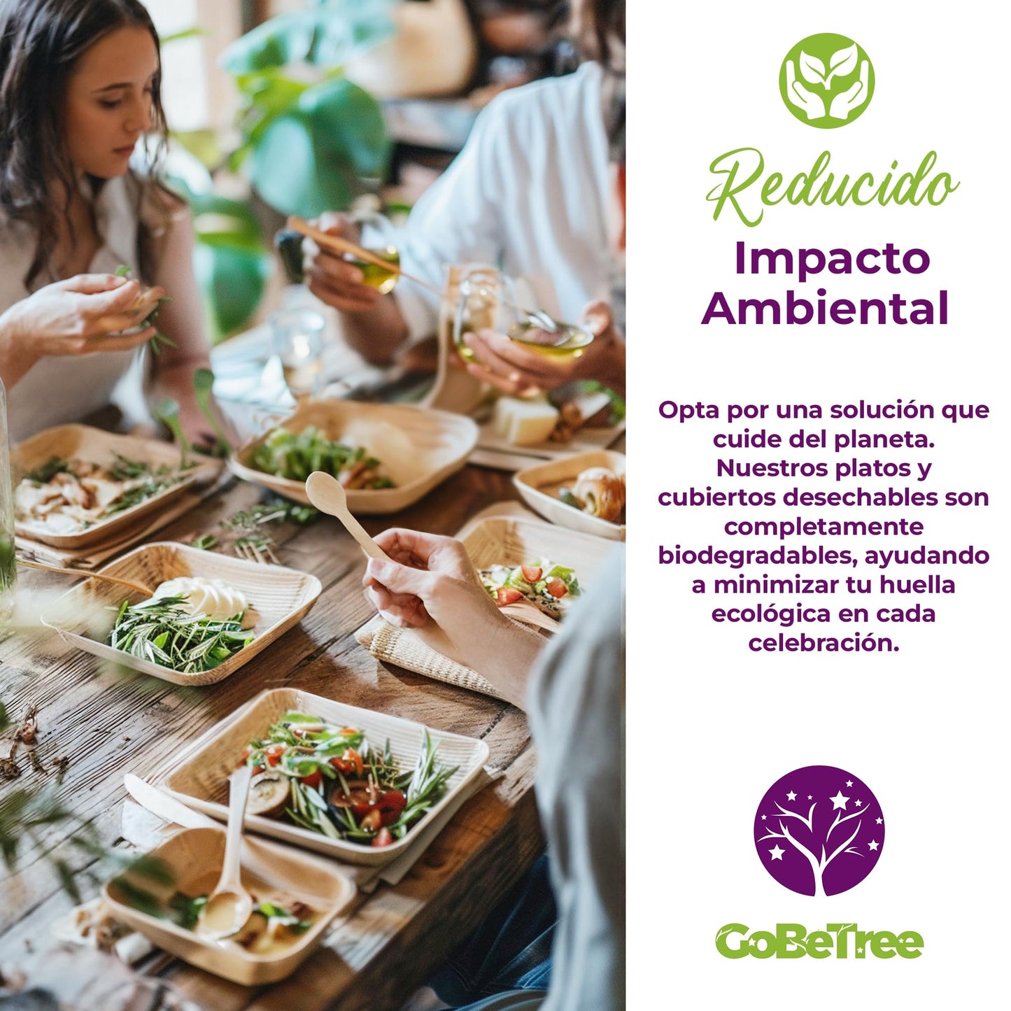 Eco-friendly pack: 25 palm plates 25 cm + 75 compostable wooden cutlery
