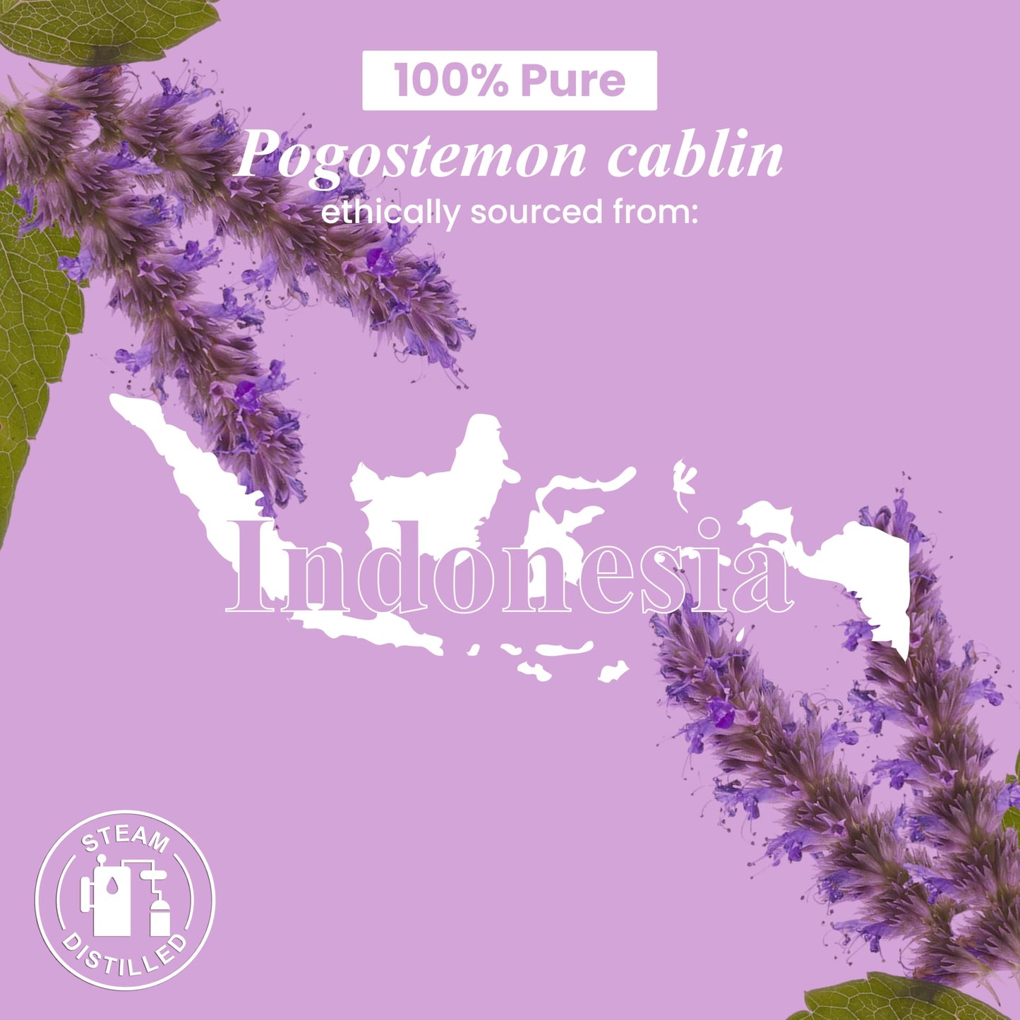 Peppermint Essential Oil - Huge 4 Fl Oz - 100% Pure and Natural - Premium Grade Essential Oil for Diffuser and Aromatherapy
