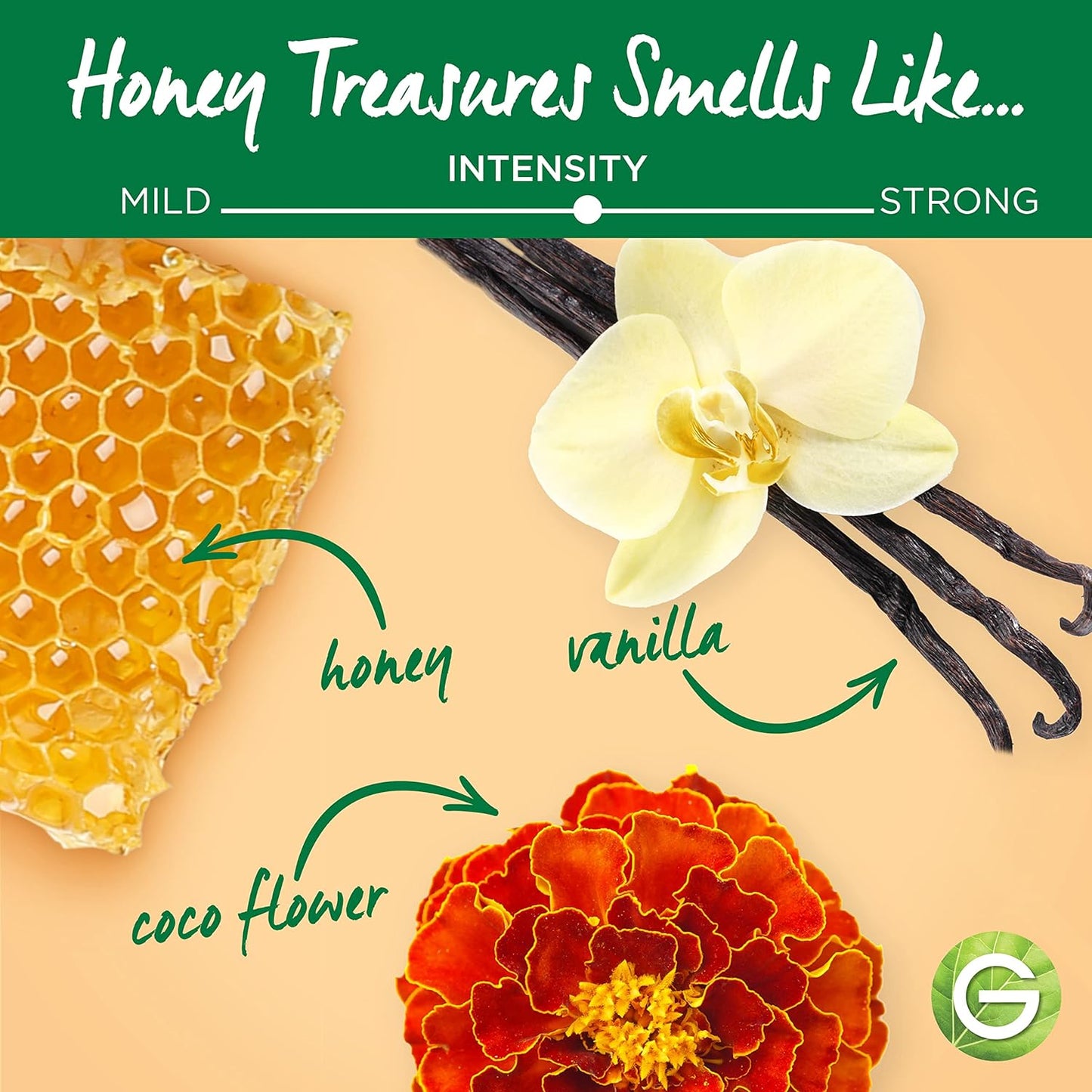 Garnier Whole Blends Restoring Shampoo Bar for Dry, Damaged Hair, Honey Treasures, 2 Oz, 1 Count (Packaging May Vary)