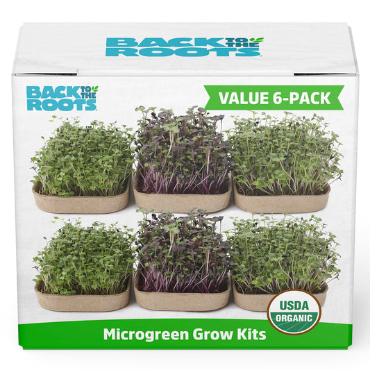 ndoor Herb Garden Starter Kit | Basil, Mint & Cilantro – Organic, No-Transplant