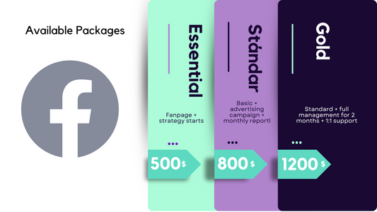 Strategic Creation and Management of a Professional Facebook Fan Page