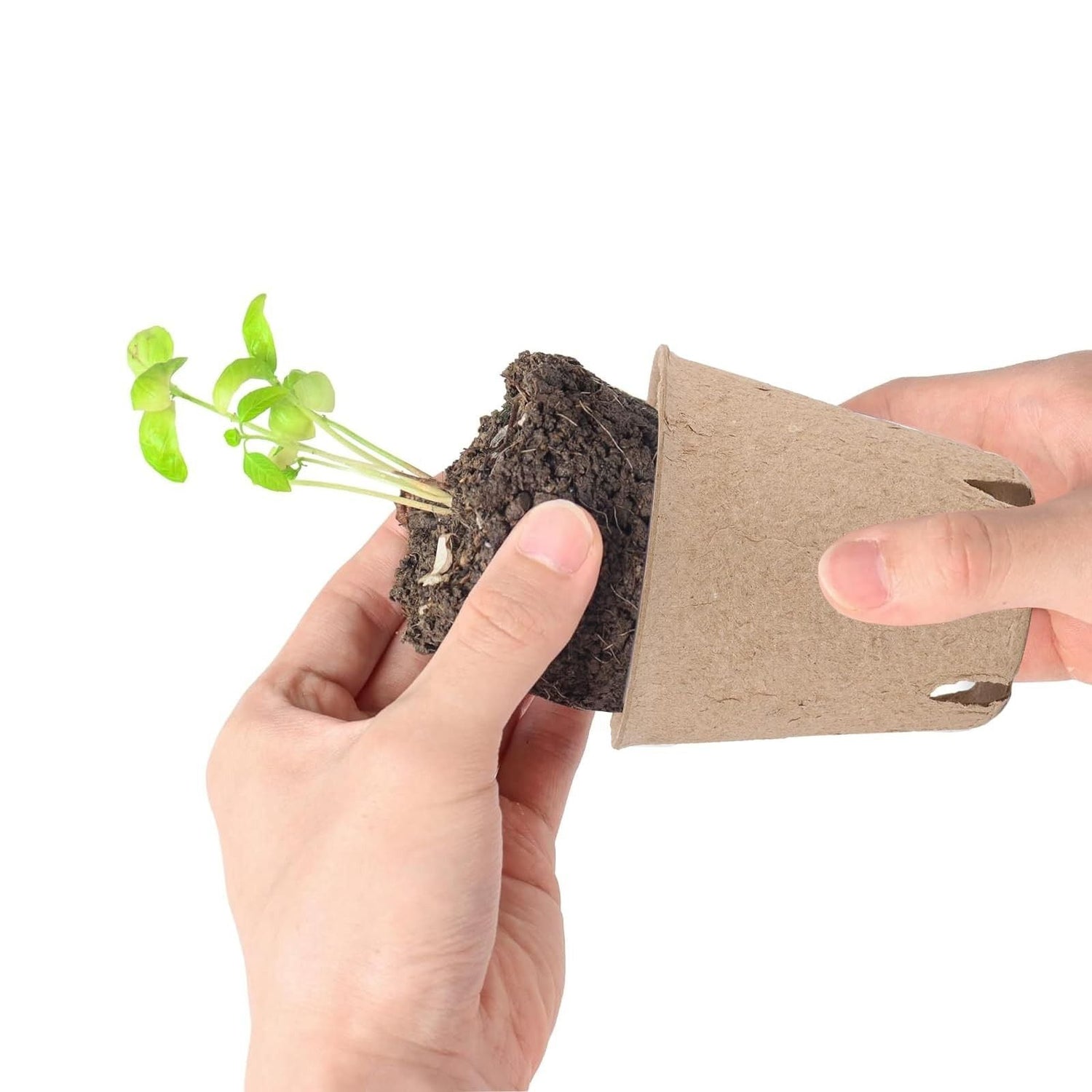 Sustainable Gardening