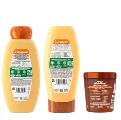 Garnier Whole Blends Honey Treasures Repairing Shampoo, for Dry, Damaged Hair, 22 Fl Oz, 2 Count (Packaging May Vary)