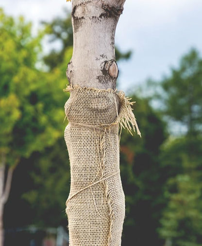 Rocky Mountain Goods Burlap Fabric Roll 3 Ft X 24 Ft - Bulk Medium Weave Burlap - Gardening, Tree Protection, Wind Screen, Weeds Barrier, Hay, Arts and Crafts Bees - Biodegradable