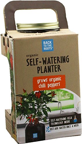 Back to the Roots Windowsill Planter: Lavender