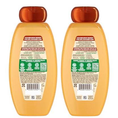 Garnier Whole Blends Honey Treasures Repairing Shampoo, for Dry, Damaged Hair, 22 Fl Oz, 2 Count (Packaging May Vary)