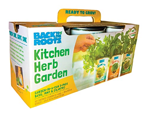 Back to the Roots Indoor Herb Garden Starter Kit, Basil, Mint and Cilantro - Includes seeds, soil and biochar