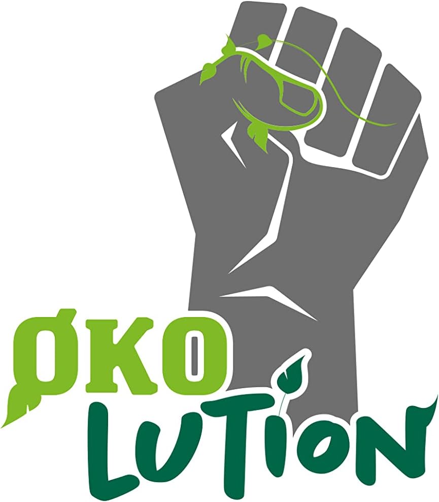Ökolution Platos desechables (20 unidades, redondos, sin revestimiento de plástico, cartón FSC, embalaje respetuoso con el medio ambiente), color verde