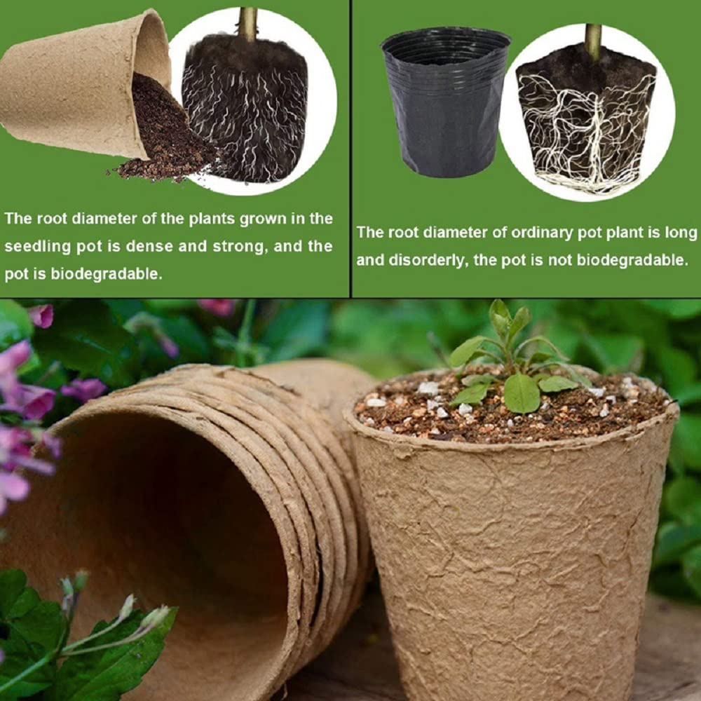 3T GROUP 50 Pcs 3 Inch Small Compostable Plant Pots,Disposable Flower Pots,Biodegradable Pots for Plant,Mini Seed Pots,Planting Pots,Peat Pot,Seeding Pots with Labels for Vegetables,Fruits,Garden