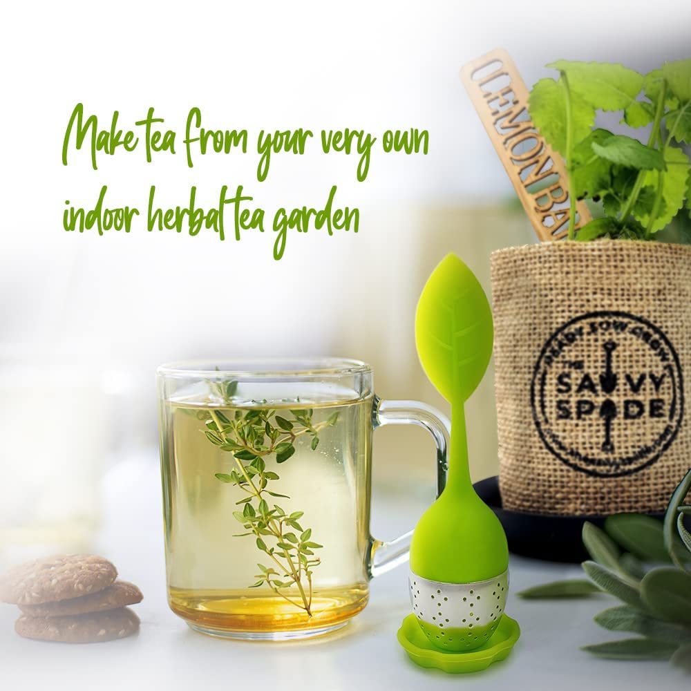 Indoor Herb Garden Starter Kit - Non GMO, Heirloom Herb Seeds - Cilantro, Oregano, Parsley and Basil Seeds for Planting - Gardening Gifts - Made in USA (Herb Garden Starter Kit)