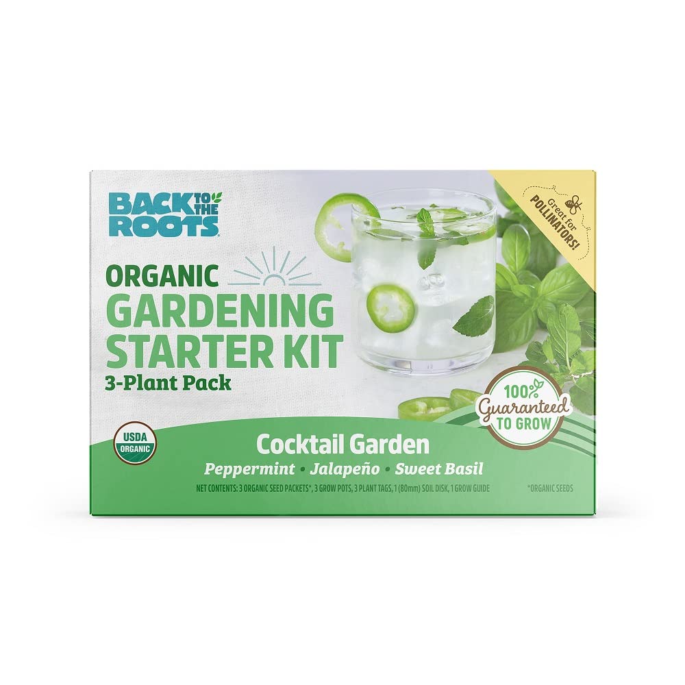 Back to the Roots Indoor Herb Garden Starter Kit, Basil, Mint and Cilantro - Includes seeds, soil and biochar