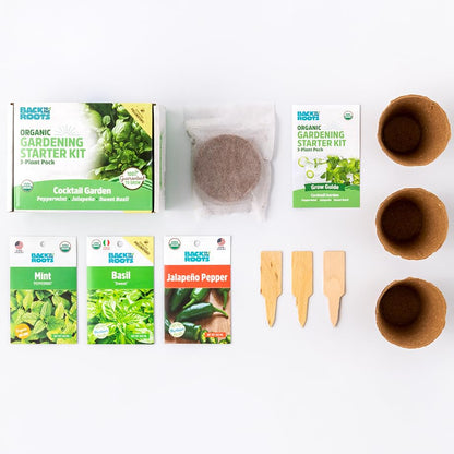 Back to the Roots Indoor Herb Garden Starter Kit, Basil, Mint and Cilantro - Includes seeds, soil and biochar