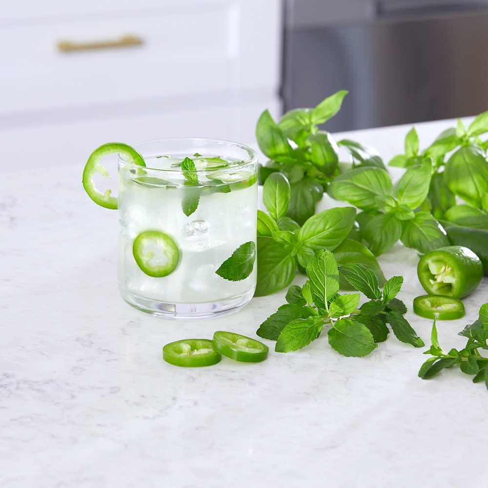 Back to the Roots Indoor Herb Garden Starter Kit, Basil, Mint and Cilantro - Includes seeds, soil and biochar