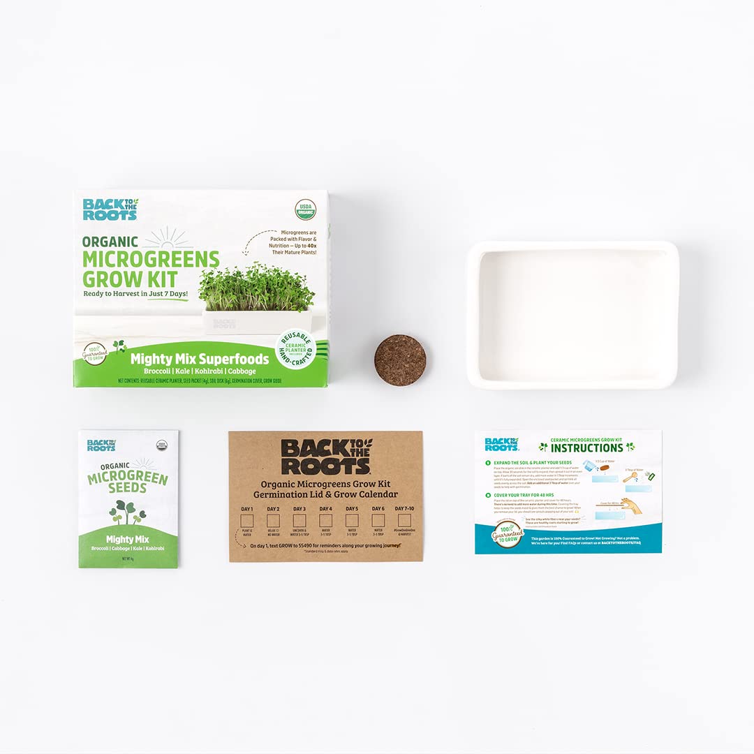 Back to the Roots Indoor Herb Garden Starter Kit, Basil, Mint and Cilantro - Includes seeds, soil and biochar