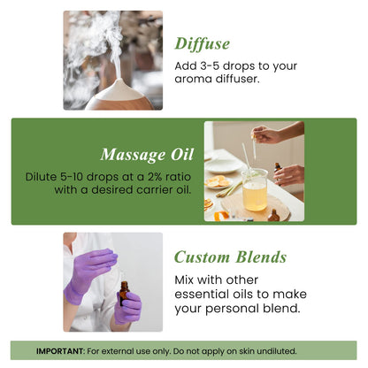 Peppermint Essential Oil - Huge 4 Fl Oz - 100% Pure and Natural - Premium Grade Essential Oil for Diffuser and Aromatherapy
