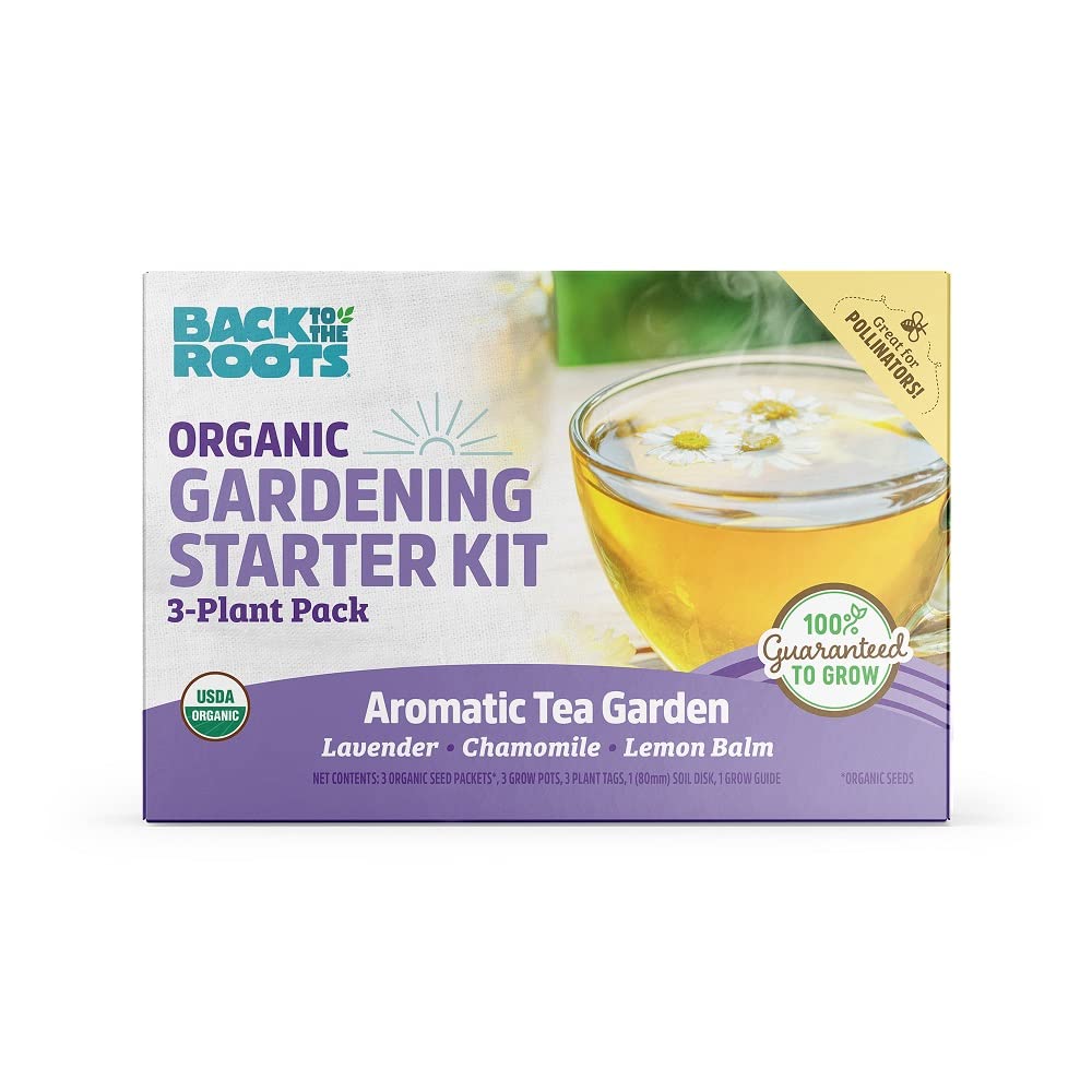 Back to the Roots Indoor Herb Garden Starter Kit, Basil, Mint and Cilantro - Includes seeds, soil and biochar