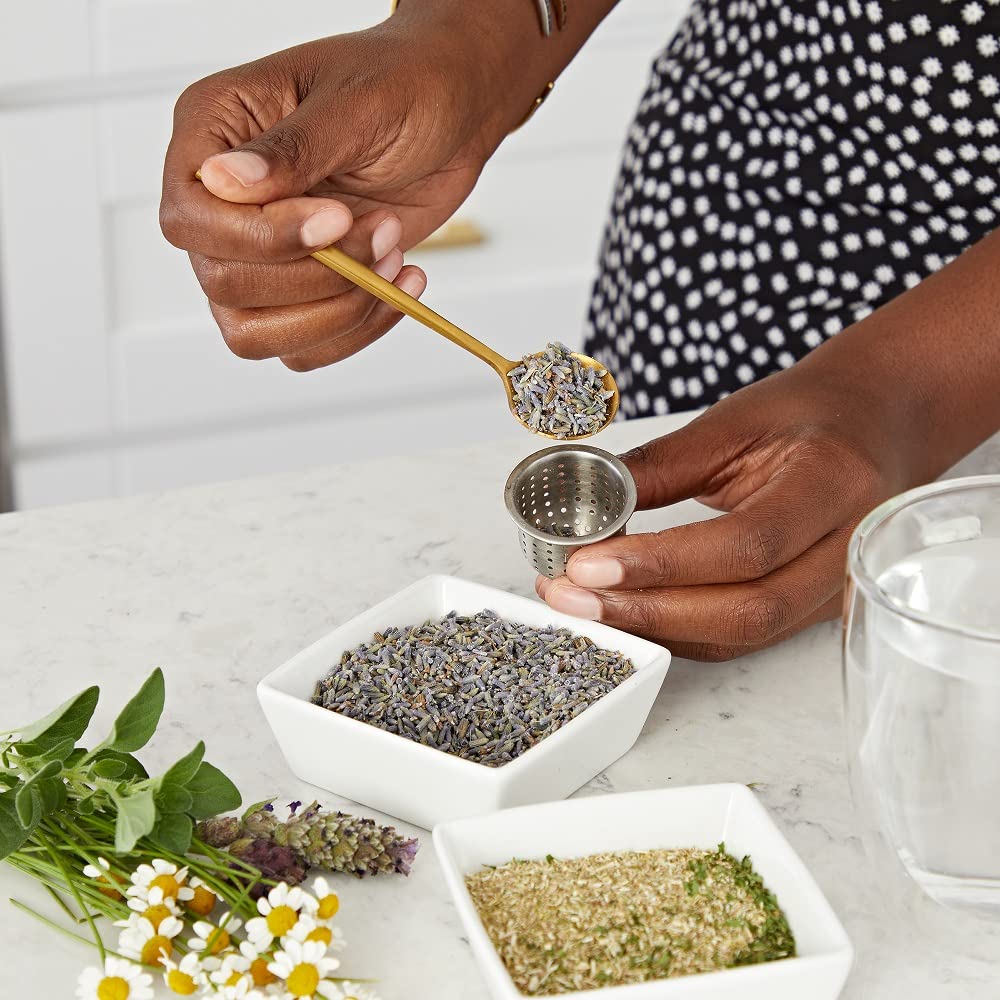 Back to the Roots Indoor Herb Garden Starter Kit, Basil, Mint and Cilantro - Includes seeds, soil and biochar