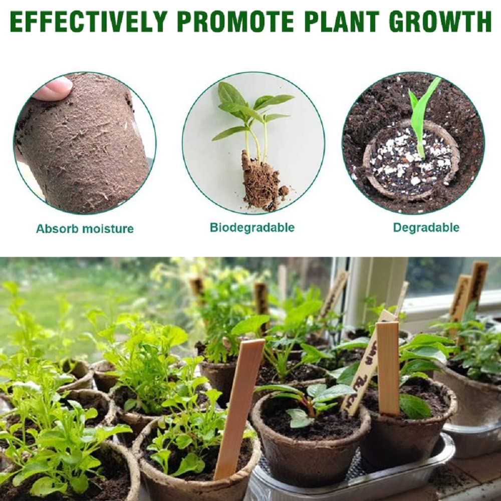 3T GROUP 50 Pcs 3 Inch Small Compostable Plant Pots,Disposable Flower Pots,Biodegradable Pots for Plant,Mini Seed Pots,Planting Pots,Peat Pot,Seeding Pots with Labels for Vegetables,Fruits,Garden