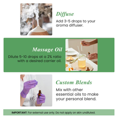 Peppermint Essential Oil - Huge 4 Fl Oz - 100% Pure and Natural - Premium Grade Essential Oil for Diffuser and Aromatherapy