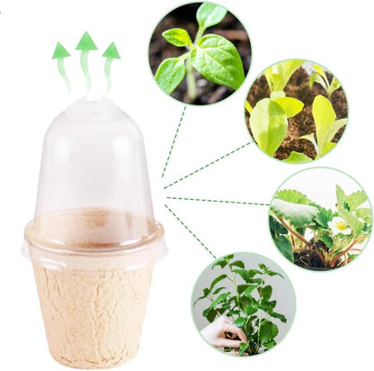 6cm/2.33 inch Biodegradable, Eco Friendly Peat Seedling Pots with Humidity Dome and Plant Label, Natural