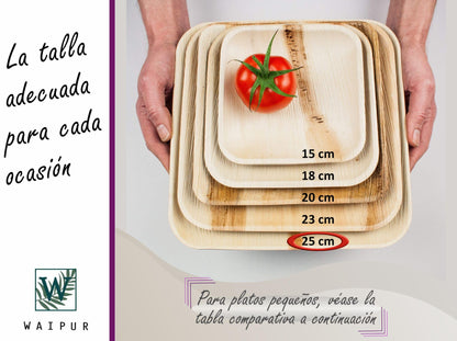 Waipur Platos Hoja de Palma Orgánicos - 25 Platos Desechables Cuadrados 25x25 cm -