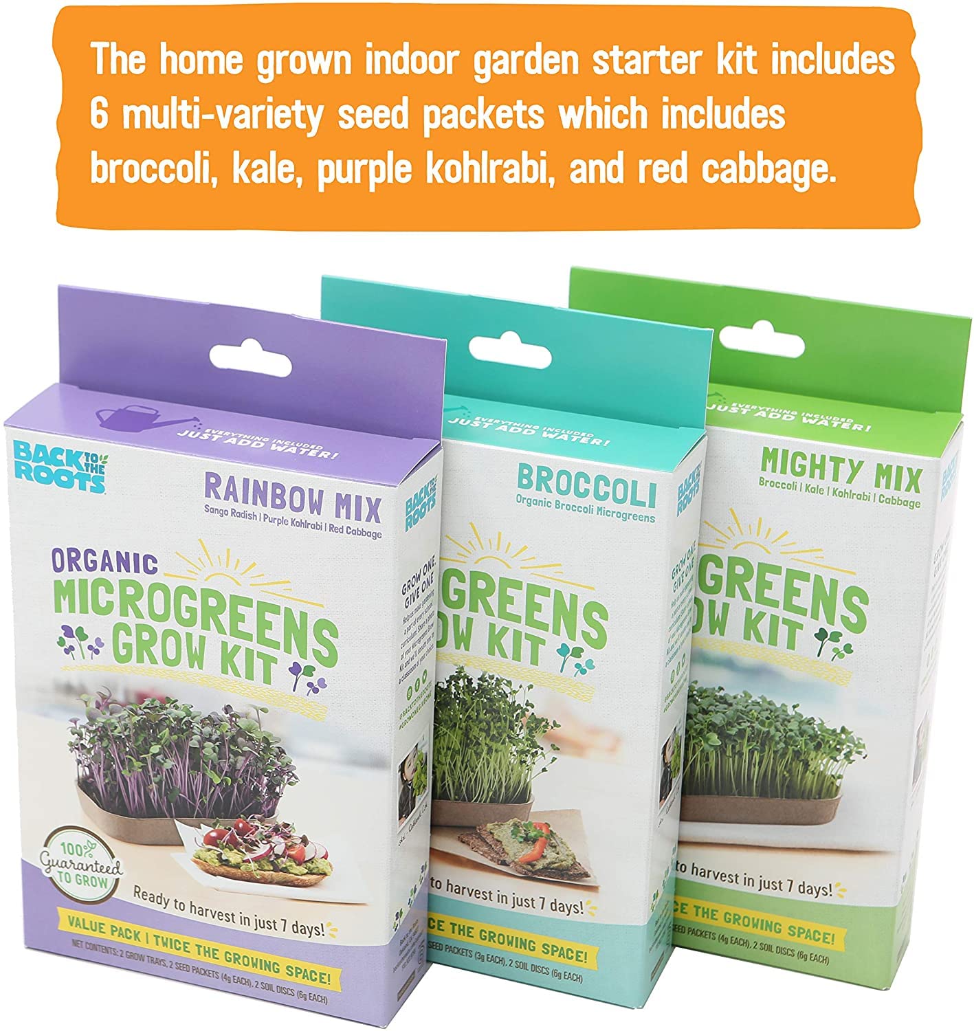 Back to the Roots Indoor Herb Garden Starter Kit, Basil, Mint and Cilantro - Includes seeds, soil and biochar
