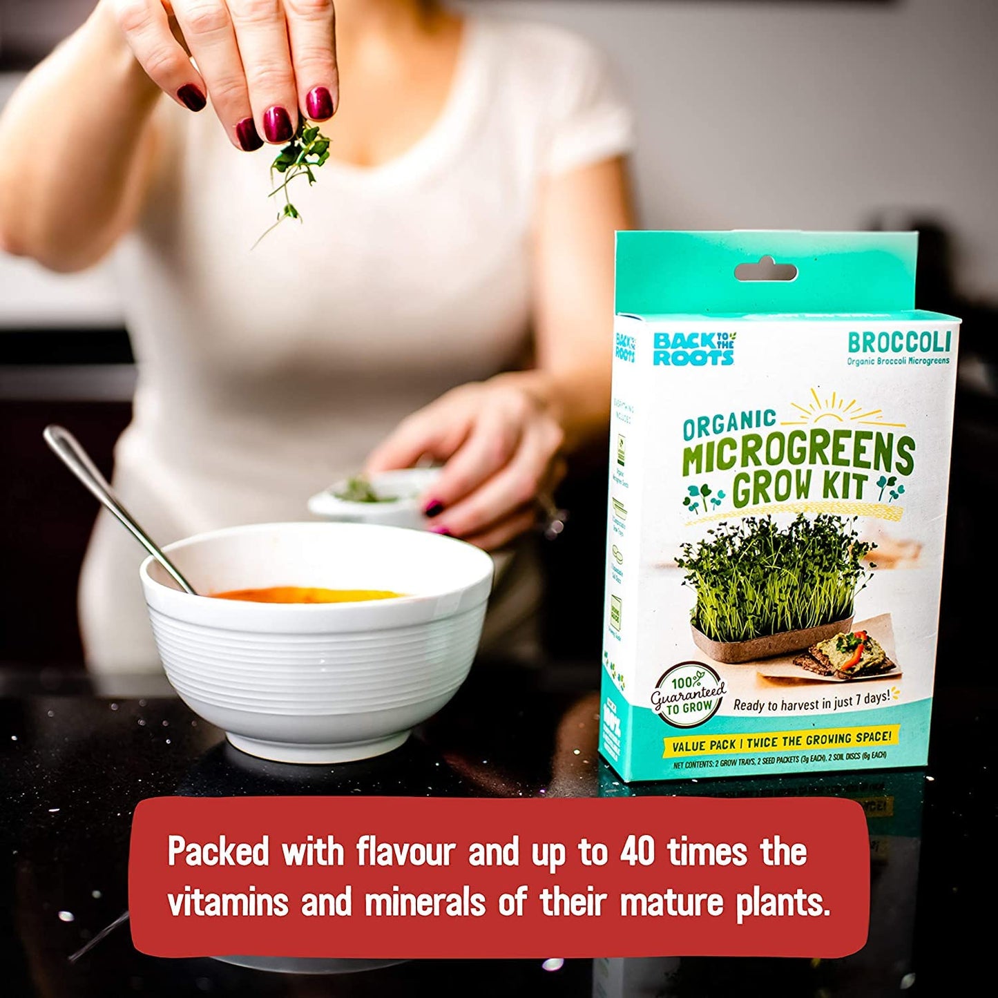 Back to the Roots Indoor Herb Garden Starter Kit, Basil, Mint and Cilantro - Includes seeds, soil and biochar
