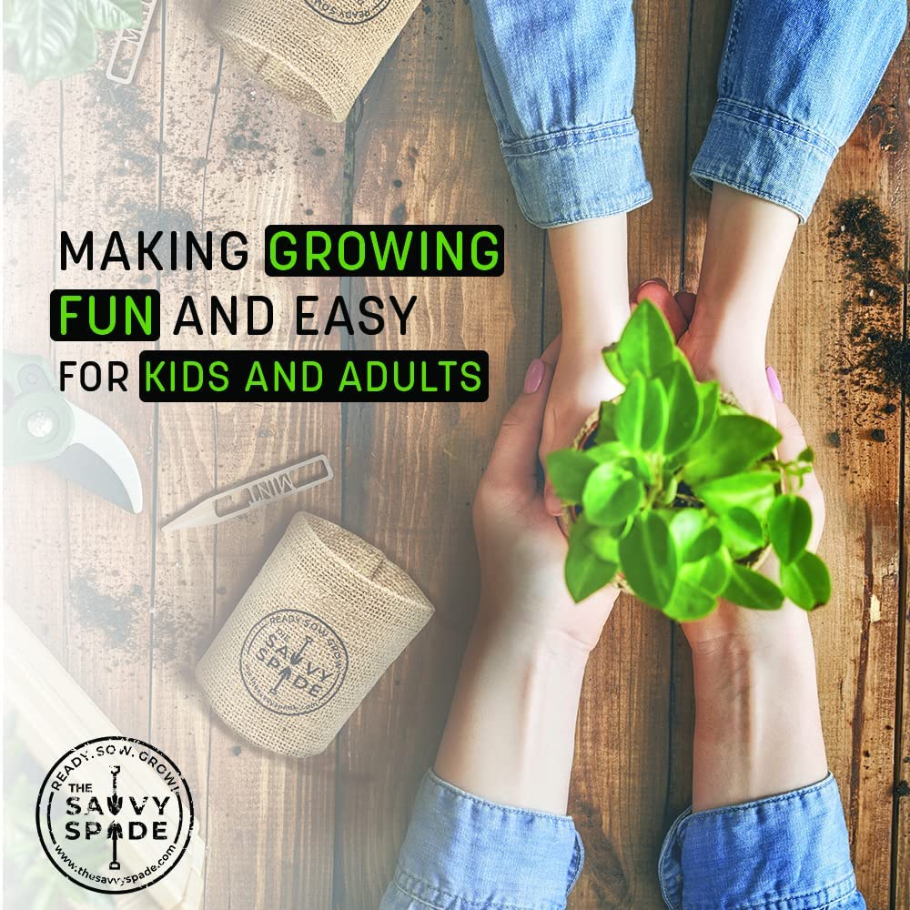 Indoor Herb Garden Starter Kit - Non GMO, Heirloom Herb Seeds - Cilantro, Oregano, Parsley and Basil Seeds for Planting - Gardening Gifts - Made in USA (Herb Garden Starter Kit)