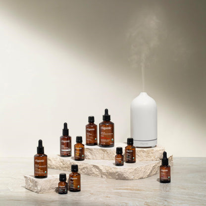 Cliganic Organic Essential Oils Set (Top 5) - 100% Pure Natural - Aromatherapy, Candle Making - Peppermint, Lavender, Eucalyptus, Lemongrass & Orange (Packaging May Vary)