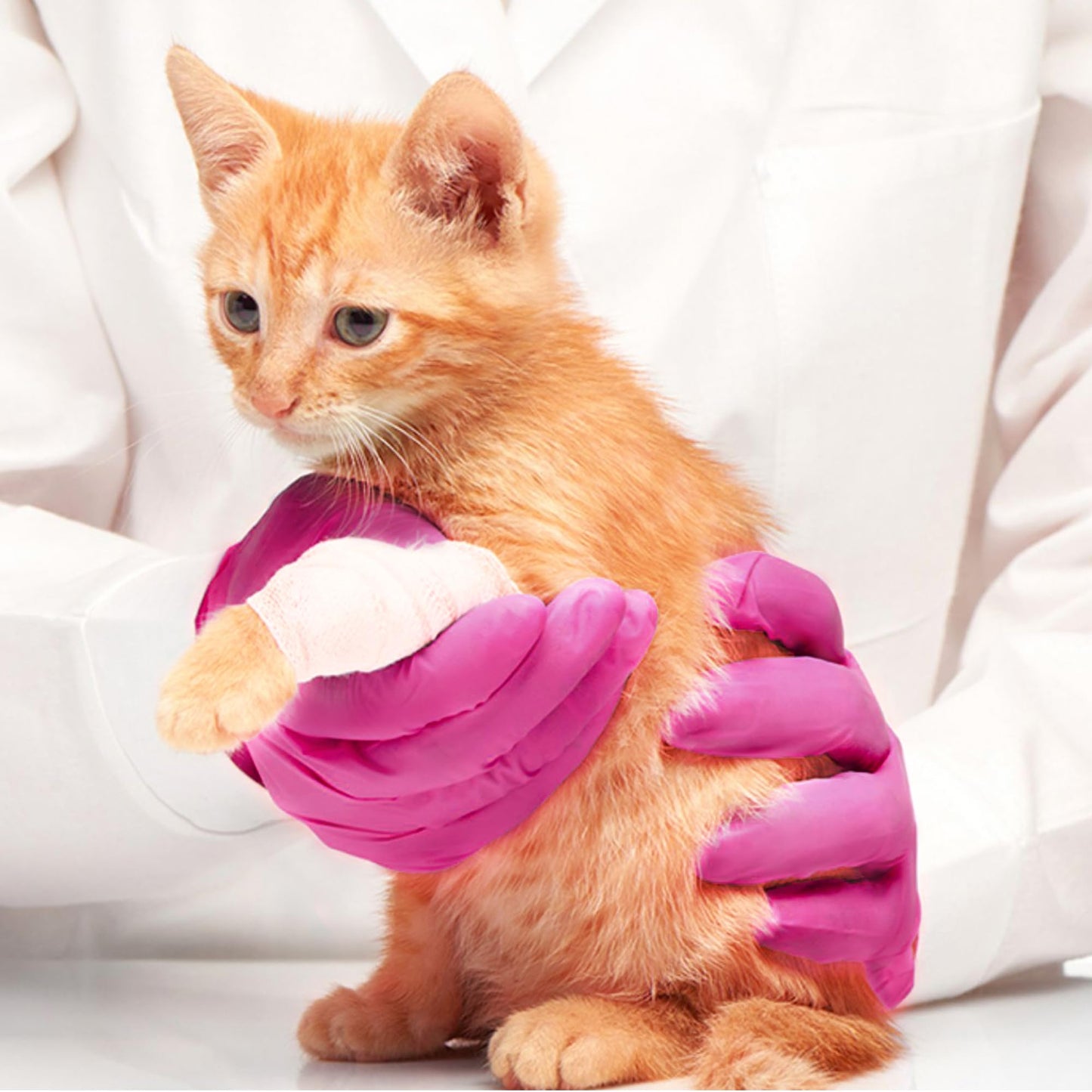 Powder-Free Nitrile Gloves, 100ct Box - 3-mil, Disposable Nitrile Gloves, Latex-Free, Powder-Free - Pink/Fuchsia