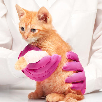 Powder-Free Nitrile Gloves, 100ct Box - 3-mil, Disposable Nitrile Gloves, Latex-Free, Powder-Free - Pink/Fuchsia