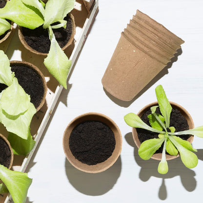 3T GROUP 50 Pcs 3 Inch Small Compostable Plant Pots,Disposable Flower Pots,Biodegradable Pots for Plant,Mini Seed Pots,Planting Pots,Peat Pot,Seeding Pots with Labels for Vegetables,Fruits,Garden