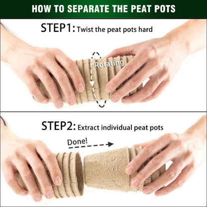 3T GROUP 50 Pcs 3 Inch Small Compostable Plant Pots,Disposable Flower Pots,Biodegradable Pots for Plant,Mini Seed Pots,Planting Pots,Peat Pot,Seeding Pots with Labels for Vegetables,Fruits,Garden