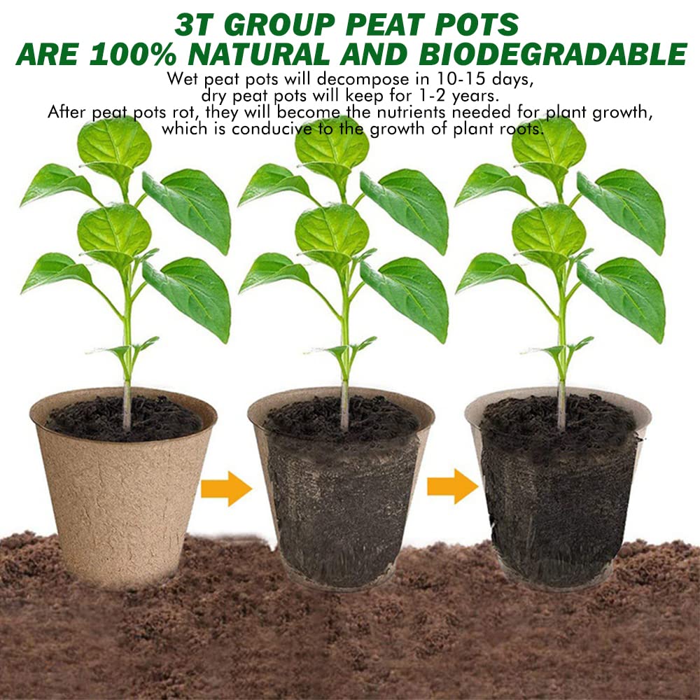 3T GROUP 50 Pcs 3 Inch Small Compostable Plant Pots,Disposable Flower Pots,Biodegradable Pots for Plant,Mini Seed Pots,Planting Pots,Peat Pot,Seeding Pots with Labels for Vegetables,Fruits,Garden