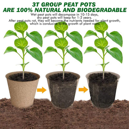 3T GROUP 50 Pcs 3 Inch Small Compostable Plant Pots,Disposable Flower Pots,Biodegradable Pots for Plant,Mini Seed Pots,Planting Pots,Peat Pot,Seeding Pots with Labels for Vegetables,Fruits,Garden