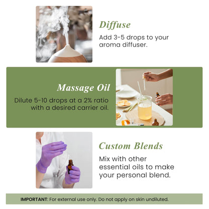 Peppermint Essential Oil - Huge 4 Fl Oz - 100% Pure and Natural - Premium Grade Essential Oil for Diffuser and Aromatherapy