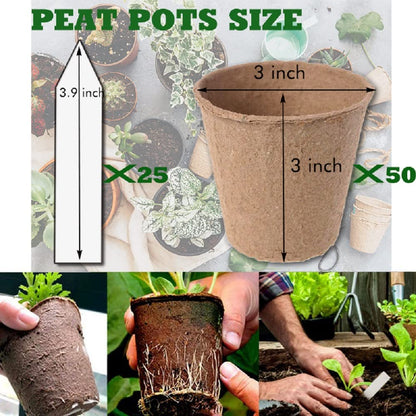 3T GROUP 50 Pcs 3 Inch Small Compostable Plant Pots,Disposable Flower Pots,Biodegradable Pots for Plant,Mini Seed Pots,Planting Pots,Peat Pot,Seeding Pots with Labels for Vegetables,Fruits,Garden