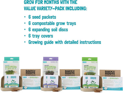 Back to the Roots Indoor Herb Garden Starter Kit, Basil, Mint and Cilantro - Includes seeds, soil and biochar