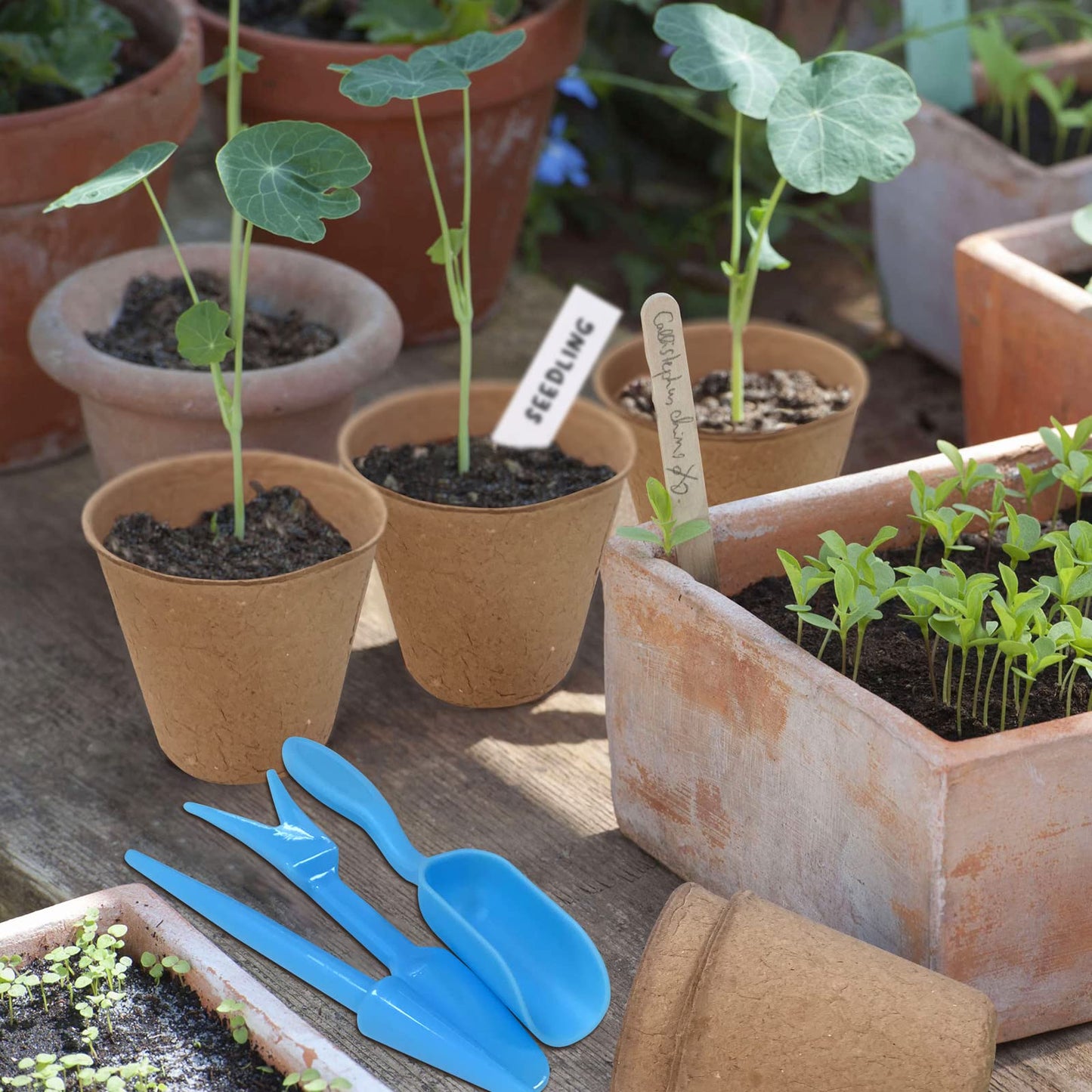 3T GROUP 50 Pcs 3 Inch Small Compostable Plant Pots,Disposable Flower Pots,Biodegradable Pots for Plant,Mini Seed Pots,Planting Pots,Peat Pot,Seeding Pots with Labels for Vegetables,Fruits,Garden