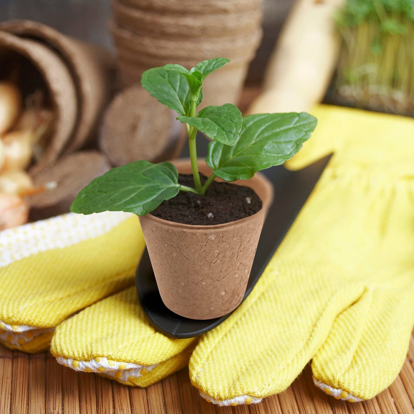 3T GROUP 50 Pcs 3 Inch Small Compostable Plant Pots,Disposable Flower Pots,Biodegradable Pots for Plant,Mini Seed Pots,Planting Pots,Peat Pot,Seeding Pots with Labels for Vegetables,Fruits,Garden
