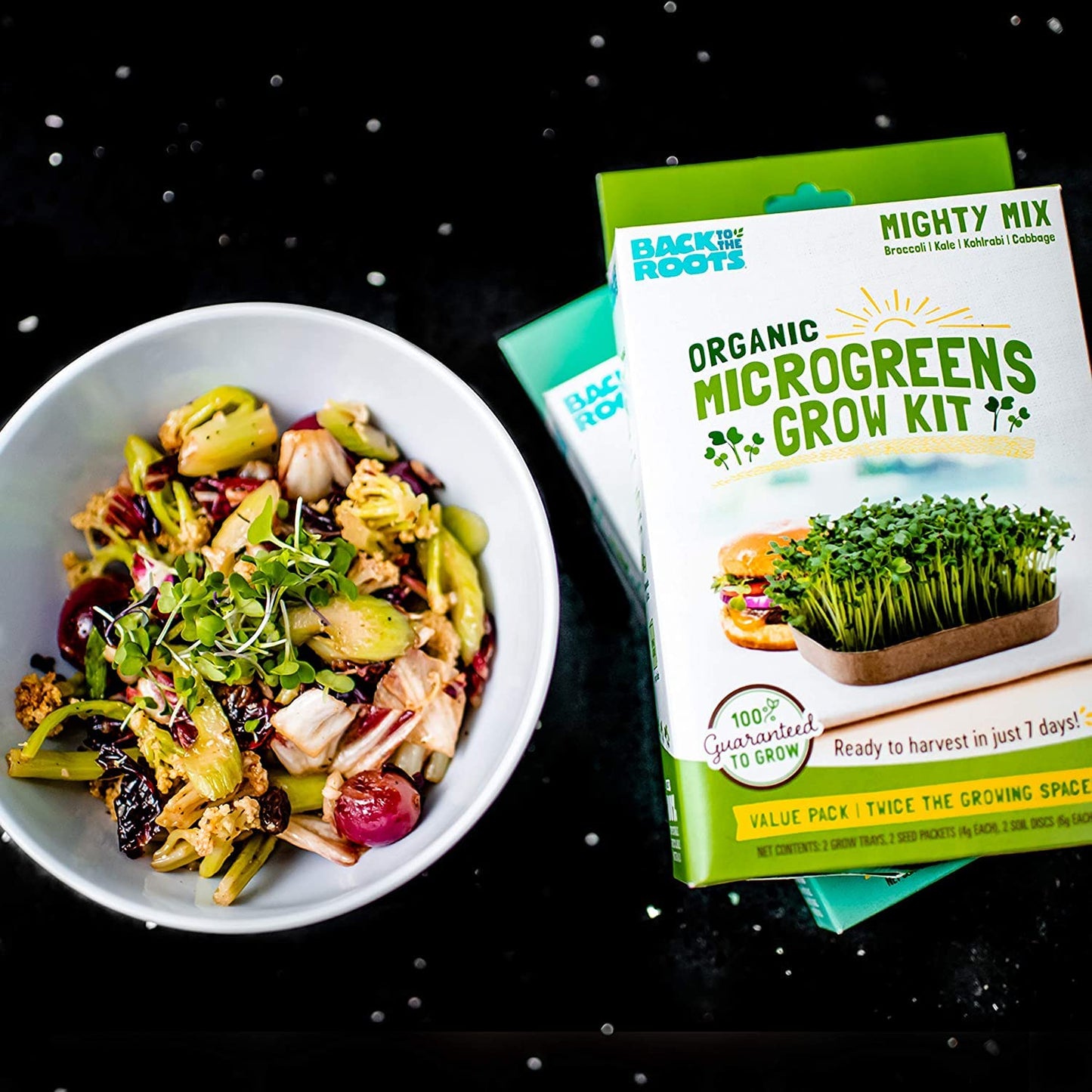 Back to the Roots Indoor Herb Garden Starter Kit, Basil, Mint and Cilantro - Includes seeds, soil and biochar