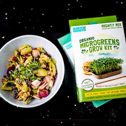Back to the Roots Indoor Herb Garden Starter Kit, Basil, Mint and Cilantro - Includes seeds, soil and biochar
