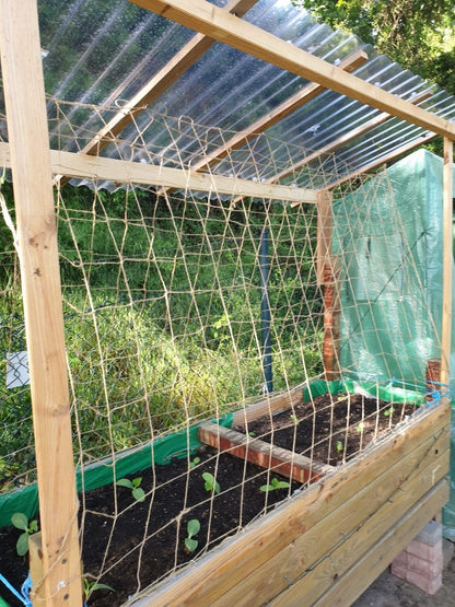 Plant Support Netting - Biodegradable Natural Jute Net for Garden Climbing Vining Plants Cucumber, Vine, Fruits & Vegetables Tomato (6.6 Ft x 16.4 Ft, 5.9 Inch Squares)
